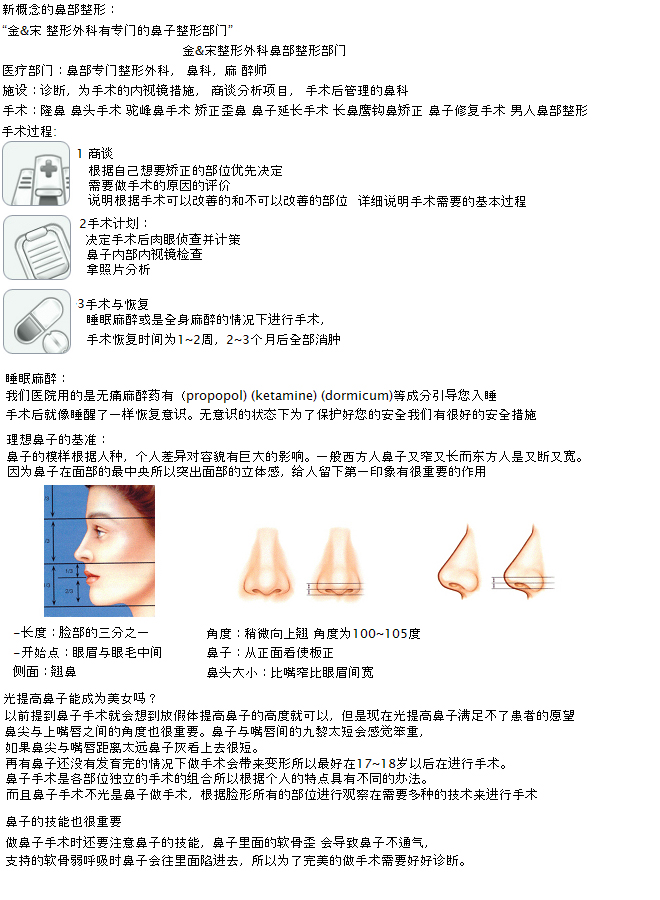 新槪念的鼻部整形